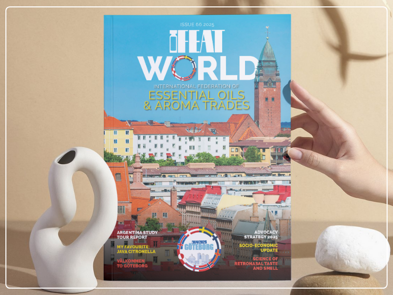 IFEATWORLD 66 Summer 2025